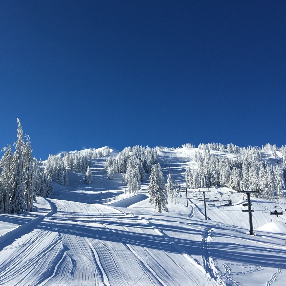 🏃‍♀️POSH CHEEKY LIVE⭐️ACTIVEWEAR TRAIN⭐️ - Picture 5 of 17